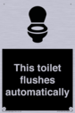 this-toilet-flushes-automatically~